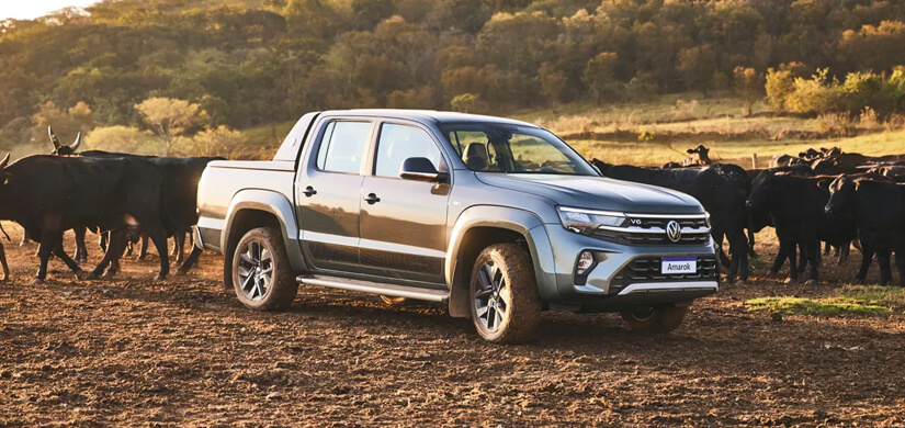 Nova Amarok