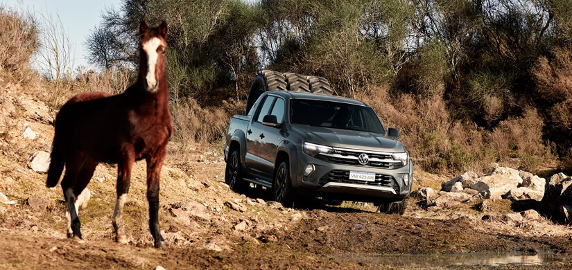 Nova Amarok