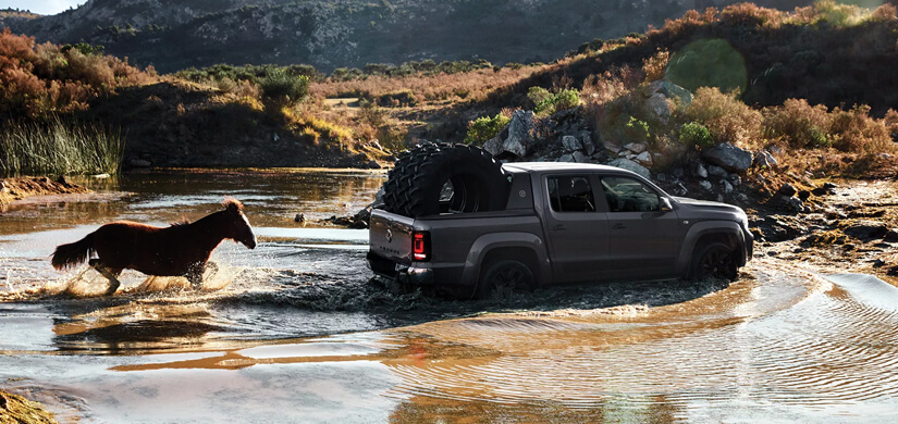 Nova Amarok